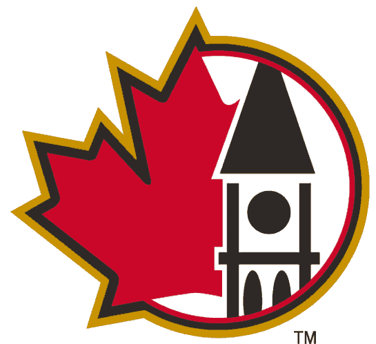 Ottawa Senators 2000-2007 Alternate Logo DIY iron on transfer (heat transfer)